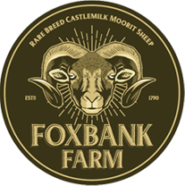 Foxbank Farm | Castlemilk Moorit Sheep